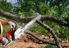 Best Hazardous Tree Removal  in Eton, GA